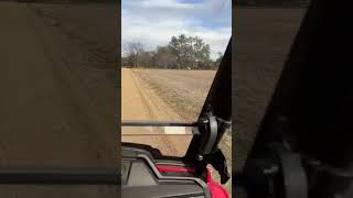 First ride in a new 2024 Honda Pioneer 7004 Deluxe [upl. by Yarw]