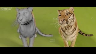 quotTiger Robbersquot VFX Showreel [upl. by Tobey]