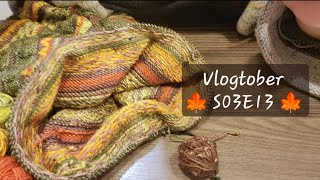 Vlogtober 🍁 S03E13 🍁 [upl. by Omsare]