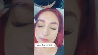 Transform brows with Elleeplex Profusion by Elleebana Get yours from lurelashprocom [upl. by Tam]