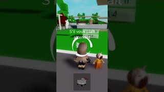 Le jour où j’ai adopté un chat et un enfant sur brook  roblox robloxisland [upl. by Niatsirt]