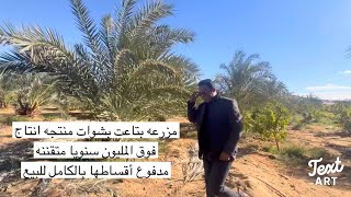 26 فدان مزرعه منتجه بتبيع بملايين رائعه متقننه بالكامل للبيع ؟إعرف سبب البيع العجيب ؟ [upl. by Japha891]