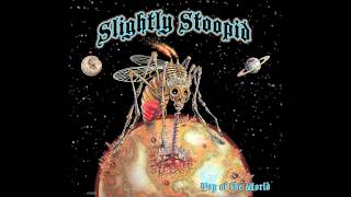 Work  Slightly Stoopid Audio [upl. by Dougal595]