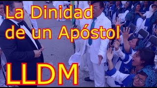 LLDM Naason es Divino Aseguran sus enamorados defensores [upl. by Finnigan]