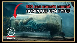 Тисулын гүнж буюу 50 сая жилийн настай булш [upl. by Anaeed]