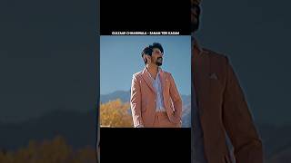 GULZAAR CHHANIWALA  SANAM TERI KASAM Official Video  New Haryanvi Song 2024 gulzaarchhaniwala [upl. by Adnertal]