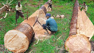 Weird Way They Extract amp Eat Tree Pulp in Indonesia [upl. by Ardnuhs]