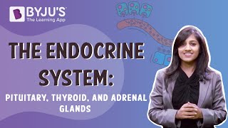 The Endocrine System  Pituitary Thyroid And Adrenal Glands  Class 10  Learn With BYJUS [upl. by Lola]