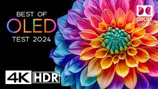 OLED TEST 2024  4K HDR Video ULTRA HD 60FPS  DOLBY VISION [upl. by Eirrok]