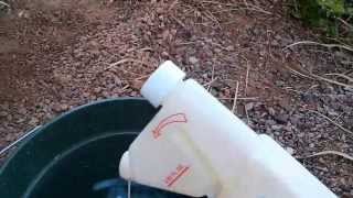 DIY termite extermination [upl. by Nnylaehs]