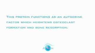 Annexin A2 Recombinant Protein [upl. by Graces]