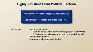 Antibiotics for Gram Positive Infections Antibiotics  Lecture 4 [upl. by Freida862]