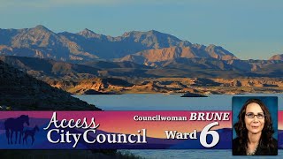 Access City Council Ward 6 Councilwoman Nancy Brune [upl. by Reklaw]