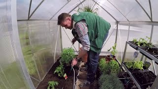 🥦 Gewächshäuser und Hochbeete 🍅 Ratgeber fürs Auswählen Aufbauen und Bepflanzen 🥕 [upl. by Gonzalo]