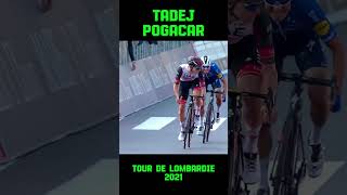 Tadej Pogaçar  Tour de Lombardie 2021 [upl. by Eimiaj]