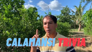 Paano Magsimula ng Kalamansian  Virgilio Bunag [upl. by As612]