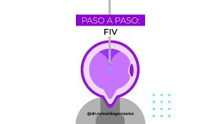 Paso a paso de Fertilización In Vitro FIV [upl. by Hseham]