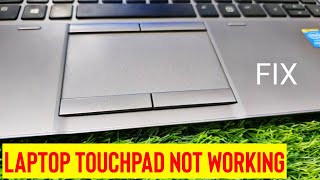 Fix Laptop Touchpad Not Working  Mouse Pointer Not Moving [upl. by Gustaf]