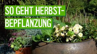 Herbstbepflanzung für Kästen und Kübel [upl. by Nolyad]