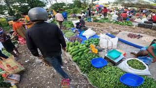 Walking on Junglighat Sunday Veg and Nonveg market  Port Blair Andaman Islands [upl. by Rehpotsrhc]