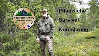 Pflanzliche Survival Nahrung 18 10 2024 [upl. by Anatnom644]