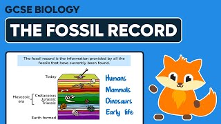 The Fossil Record  GCSE Biology [upl. by Morgenthaler]