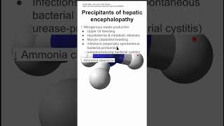 Precipitants of hepatic encephalopathy [upl. by Assiled]