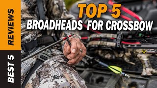 ✅ Top 5 Best Broadheads For Crossbow 2022  Tested amp Reviewed [upl. by Ulphi802]