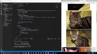 React Programming Flickr API Part 1 [upl. by Ainecey212]