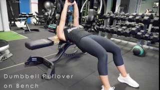 Dumbbell Pullover on Bench [upl. by Lianna]