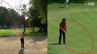 0 Luck 100 Skill Golf Shots [upl. by Hildegard]