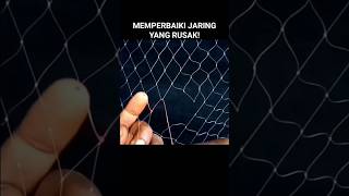 Memperbaiki Jaring Yang Rusak viralshorts fyp shorts jalamania [upl. by Einatsed]