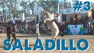 APADRINANDO Nº354  30º FIESTA PATRIAS  SALADILLO  BUENOS AIRES 🐎 [upl. by Hamaso393]