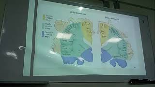 FISIOLOGIA FISIOPATOLOGIA FASE 2 PRACTICA 1 Y 2 [upl. by Koran234]