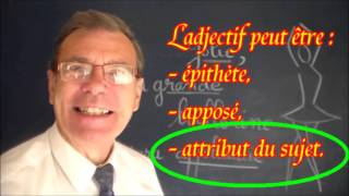 Adjectif qualificatif  épithète apposé attribut du sujet et accords  Grammaire [upl. by Inwat]