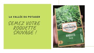 Semez votre roquette sauvage 🌱 [upl. by Ambrosius]