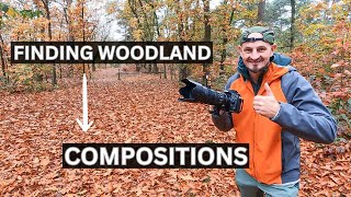 Tone Up Your Photography Game with These Simple Woodland Hacks [upl. by Devonna]