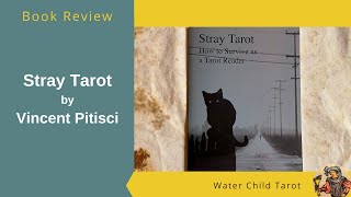 Stray Tarot How to Survive As a Tarot Reader by Vincent Pitisci [upl. by Tnelc]