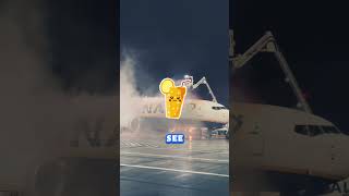 Understanding Airplane Deicing Fluid aviation airplane facts [upl. by Eiderf]