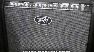 WNAMM 2011 Peavey Special 212 Chorus Amp [upl. by Nlyak]