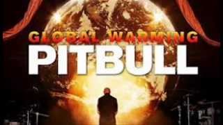 Pitbull  Dont Stop The Party REMIX [upl. by Sanjay74]