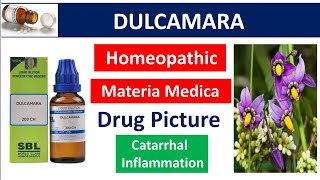 Dulcamara Drug Picture  Homeopathic medicine  Materia medica bhms dulcamara drugpicture [upl. by Volin]