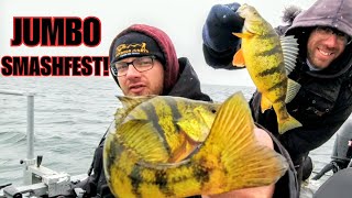 Spring JUMBO Perch Fishing DO NOT WATCH [upl. by Attenohs]