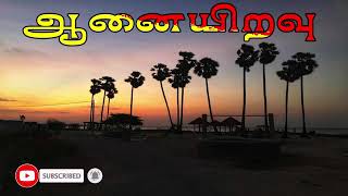 ஆனையிறவு Aanaiyiravu  Eelam songs Thaayakapaadalkal [upl. by Ardnasela344]