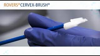 Rovers Cervex brush with BD Surepath  Spanish  Espanol Cepillo de citología cervical [upl. by Nilre]