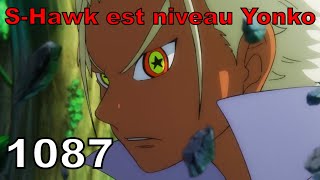 ONE PIECE EPISODE 1087  SHAWK EST PLUS PUISSANT QUE BARBE NOIRE  LES PRO MIHAWK ONT GAGNÉ [upl. by Couhp]