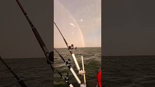 Walleye fishinglakelakefishingwalleyeboaboatfishing [upl. by Nuajed]