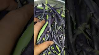 Beans agriculture farming farm agriculturelife villagelife viralshort trend trending [upl. by Barnet]