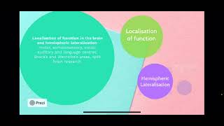 Biopsychology Localisation of function and Lateralisation [upl. by Ilrahc]