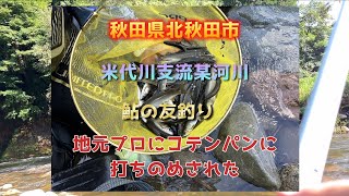 秋田県北秋田市 米代川某支流 きれいな鮎が釣れます！ [upl. by Idelia290]